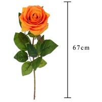 ROSA REAL TOUCH CM.60