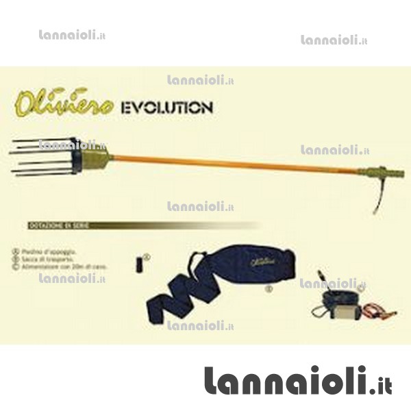 OLIVIERO EVOLUTION oliviero