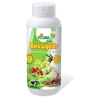 CONCIME BORO LIQUIDO CONCENTRATO KG.1