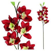 CYMBIDIUM RAMO 5 FIORI CM.83