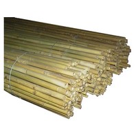 CANNA BAMBOO CM.210 D16-18 PZ.2