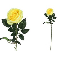 ROSA SINGOLA GRANDE CM.78