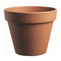 VASO COCCIO STANDARD CM.17