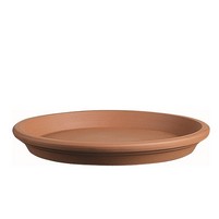SOTTOVASO COCCIO CM.31