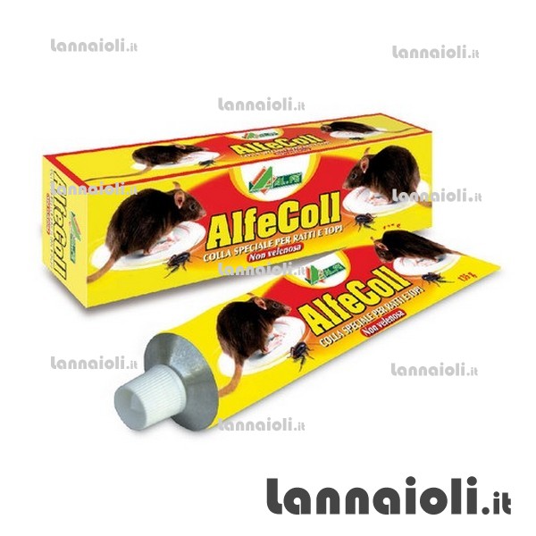 COLLA PER TOPI g.135 