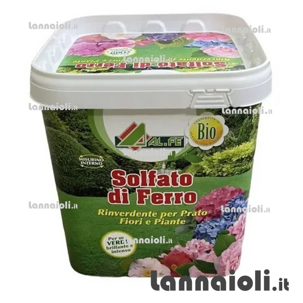 SOLFATO DI FERRO IN GRANI M30 KG.5 SOLFATO DI FERRO IN GRANI M30 KG.5