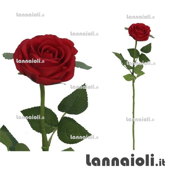 ROSA SINGOLA CM.61 REAL TOUCH ROSA SINGOLA CM.61 REAL TOUCH
