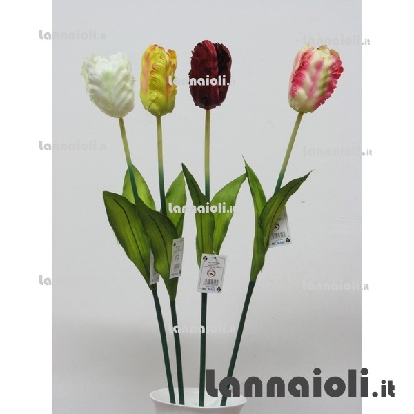 TULIPANO SINGOLO 19948 TULIPANO SINGOLO 19948