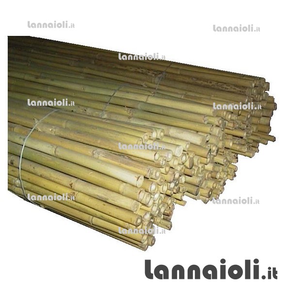 CANNA BAMBOO CM.210 D16-18 PZ.2 