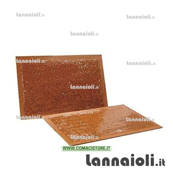 TRAPPOLA PER TOPI ADESIVA 19X14 PZ.2 