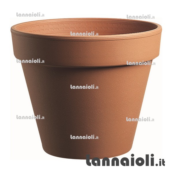 VASO COCCIO STANDARD CM.19 
