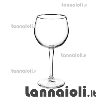 BICCHIERE RISERVA BAROLO CL.48 PZ.1 bormioli rocco
