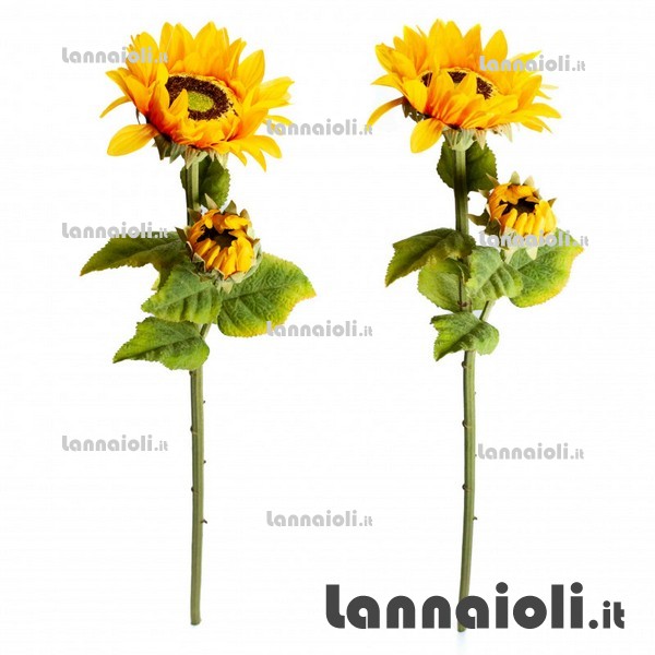 GIRASOLE RAMO GIRASOLE RAMO