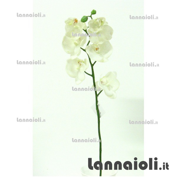 ORCHIDEA-DELPHINIUM RAMO 