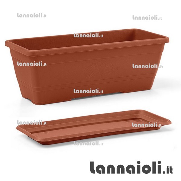 CASSETTA PRIMULA C-S CM. 20 veca blim